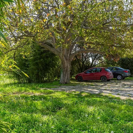 Rita Apartment Porec
