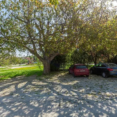 Rita Apartman